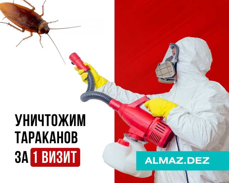 Мы Уничтожаем Клопов Клещей Тараканов Дезинфекция Алматы Гарантия