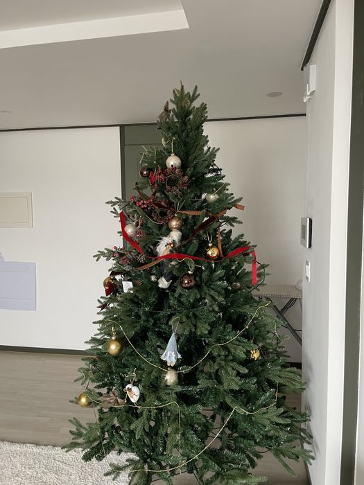 Елка новогодняя