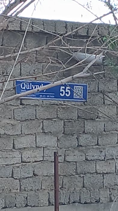 Жер земля Жайна артында