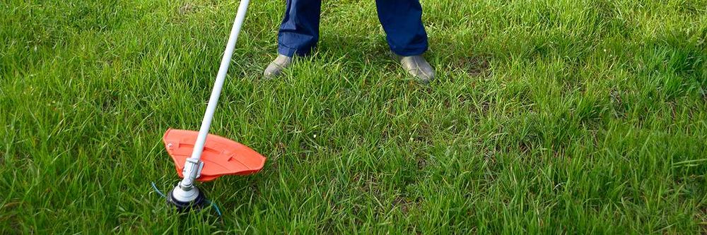 Косене на градини и всякакви зелени площи,КЪРТЕНЕ,Извозване