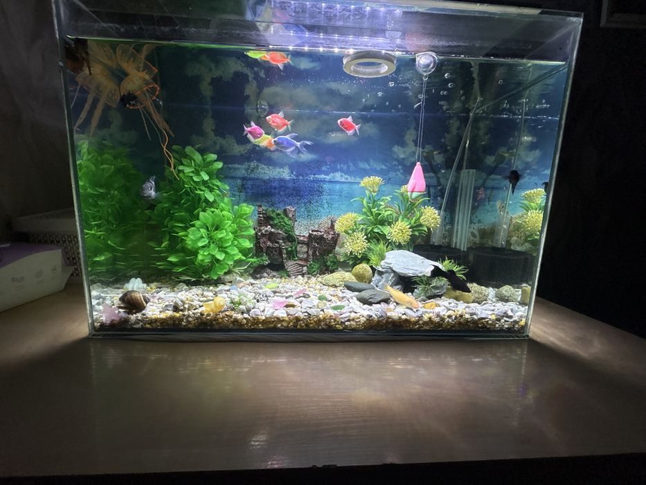 Продам аквариум 80 литов объем.