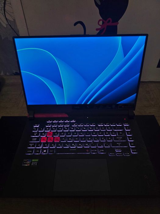 ASus rog strix g15 513qc