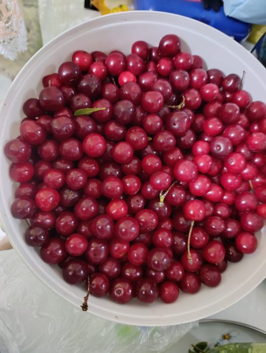 Продам Вишню !!!