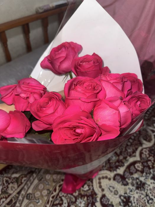 Розы красивые ал