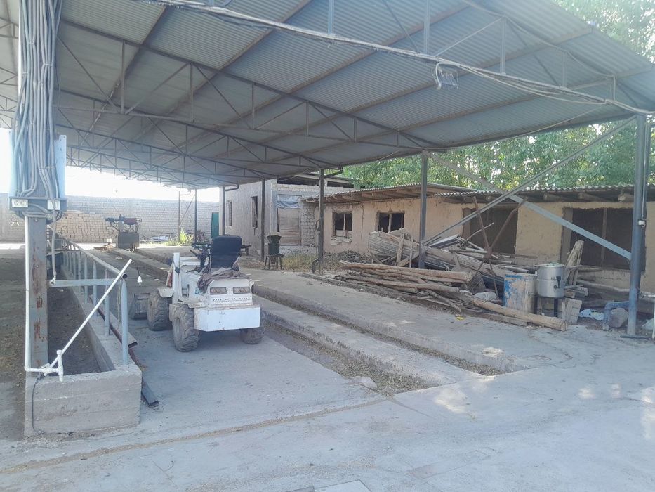 Ферма сотилади 70 сотих