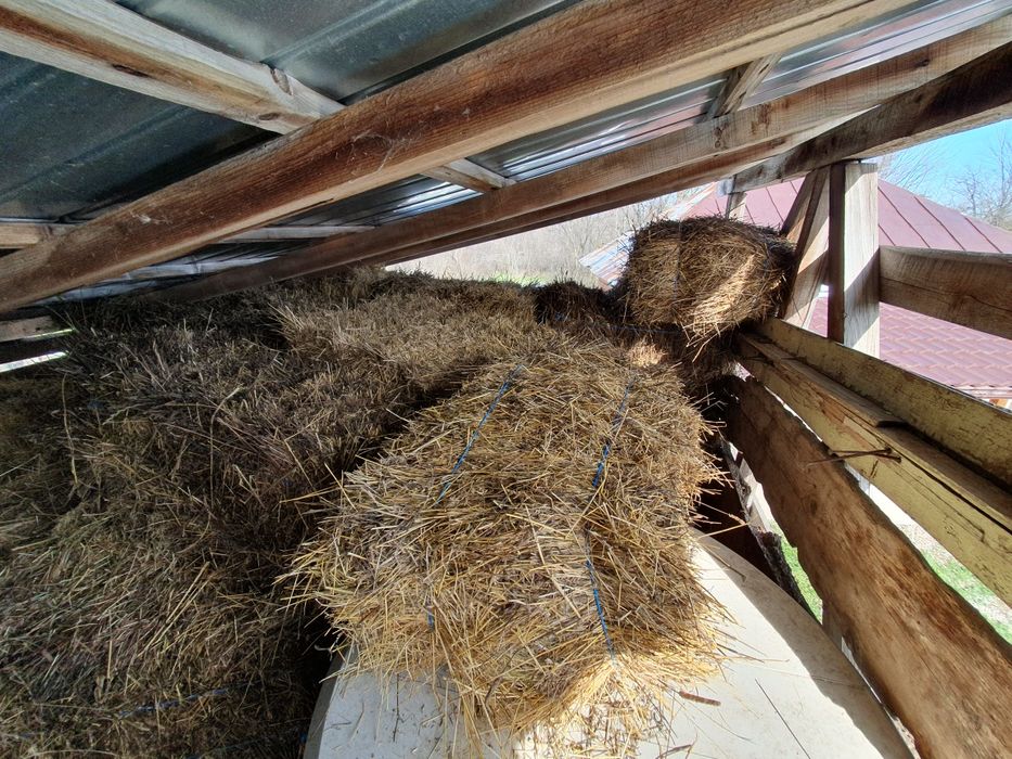 Baloți de fân - Calitate superioară