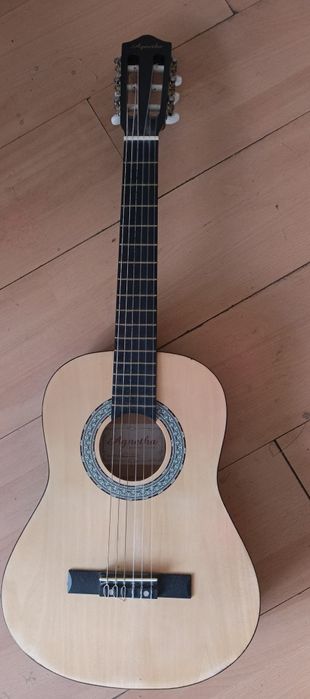 Гитара Agnetha APS E-40