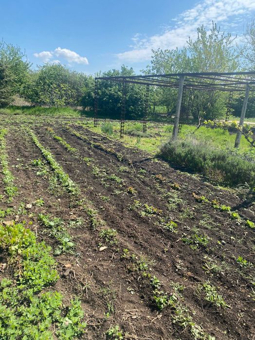 Каменна къща  с двор с. Вратарите на 35 км от Добрич и 60 км от Варна.