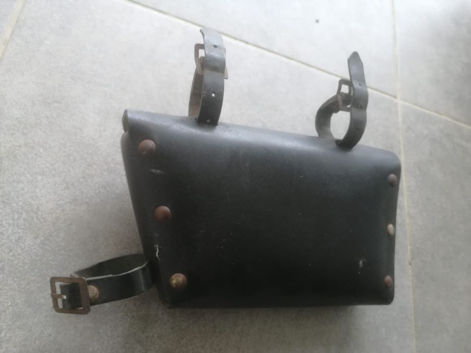 Gentuta pegas carpati