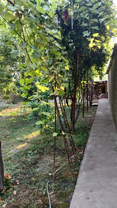 Srochna Olmaliq shahrida xovli uy sotiladi