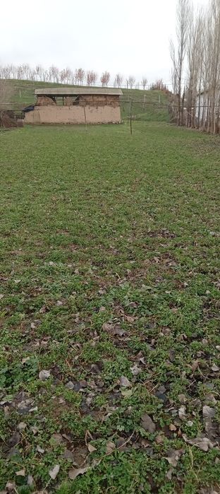 Участка жудаям яхши жойда