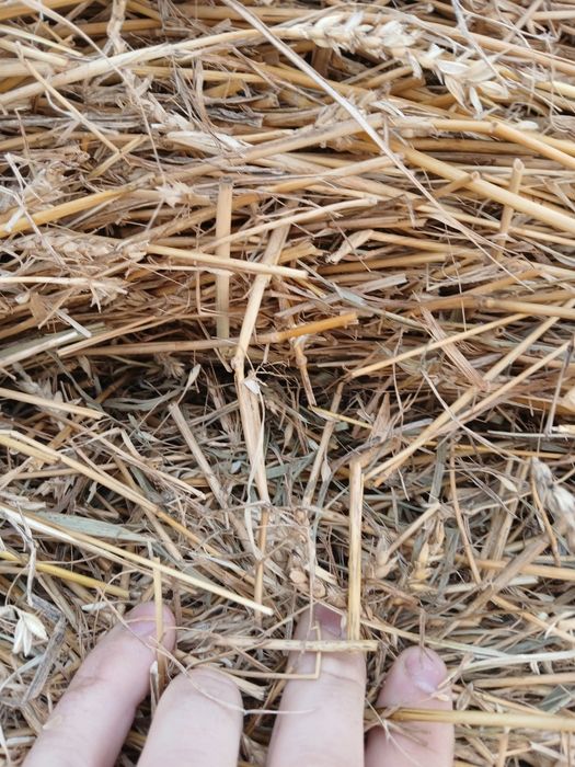 Baloti de paie în plasă