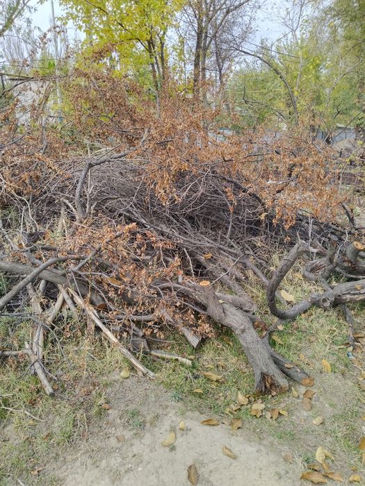 Продано не звонит и