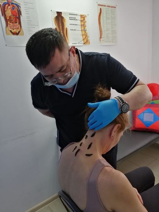 Лечение пиявками 1400 тенге