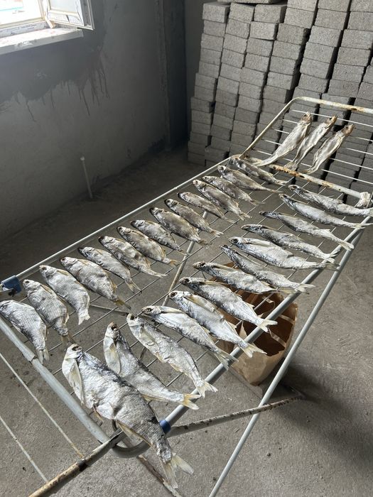 Вяленный рыбец, чехня