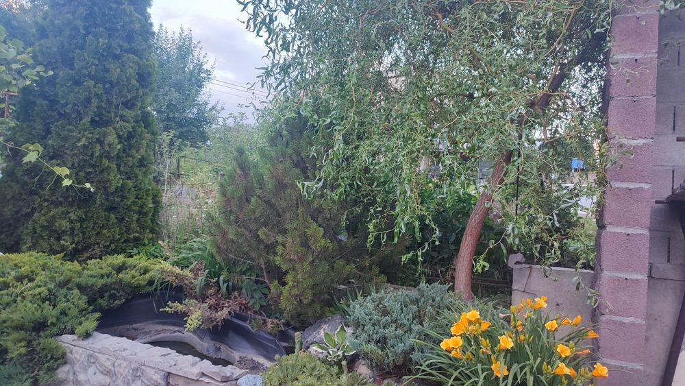 Продам дом в дачном массиве