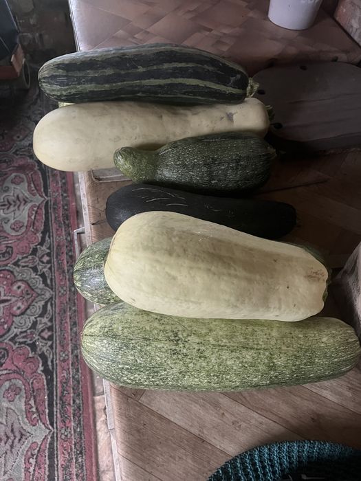 Продам мяту, кабачки, щавель