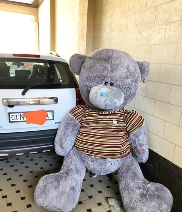 Teddy + Teddi Bonusga Orginal Sifatli Teddi va Boshqa O'yinchoqlar