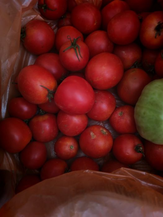 Продам домашние помидоры и огурцы