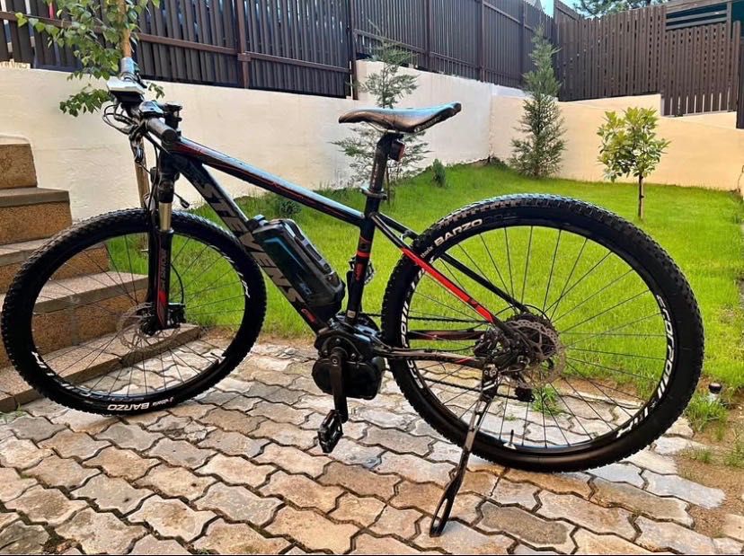 Biciclete electrice