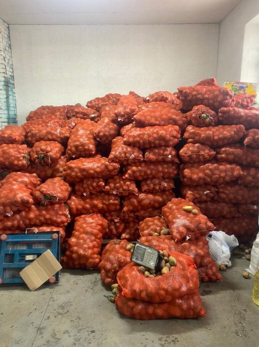 Картошка всех видов и сортов