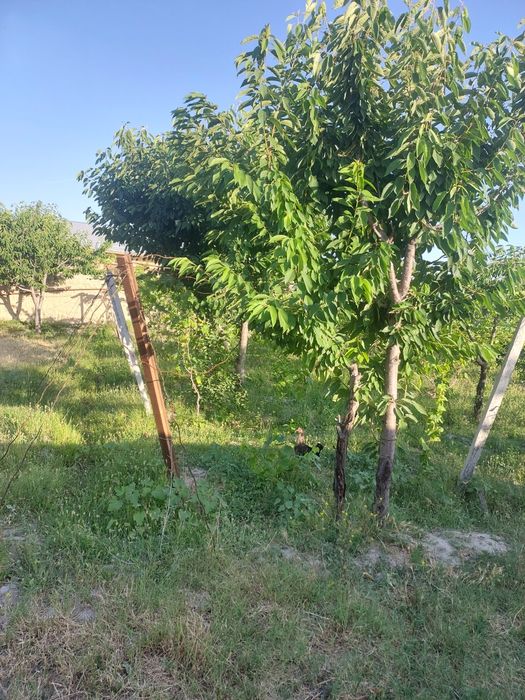 Земелный участок 4 сотох