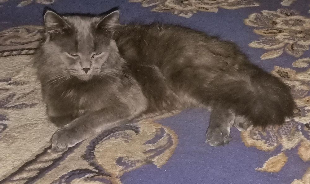 В добрые только руки