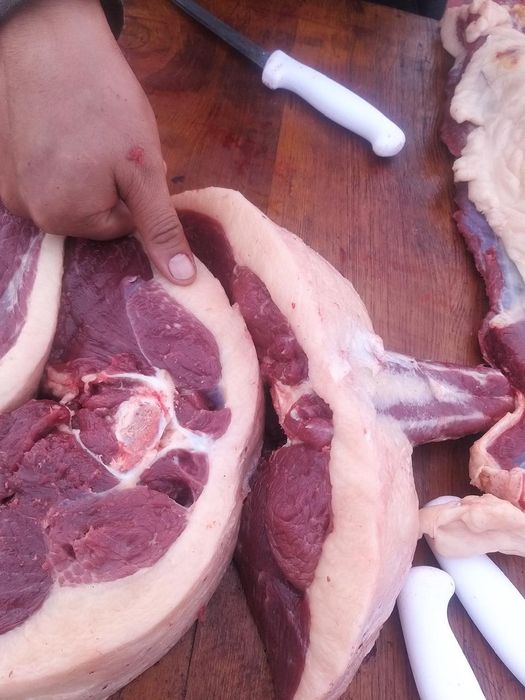 Мясо конины Жылкы ет