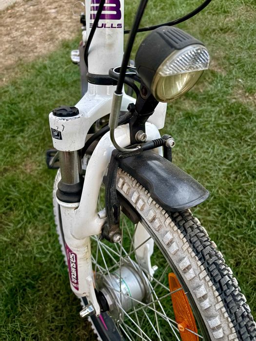 Bicicleta copii Bulls Tokee Street 20