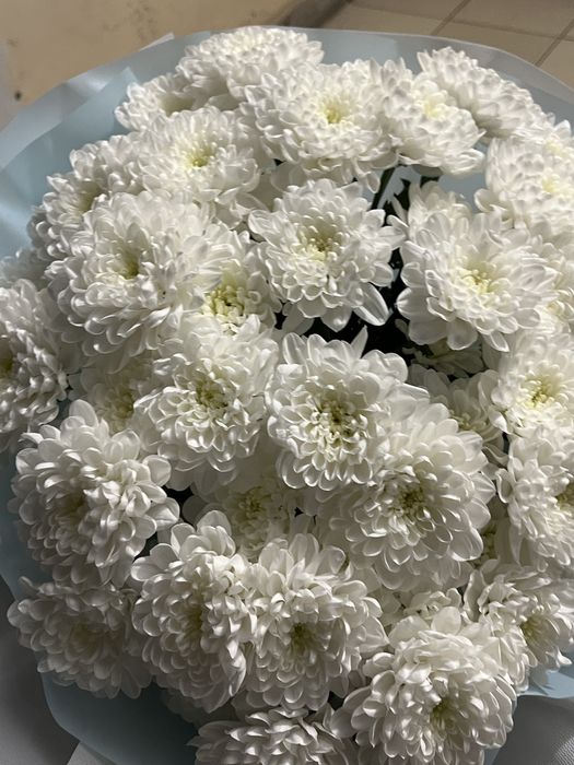 Ақ хризантема букеті | Әдемі гүл | Сыйлыққа