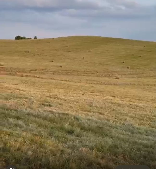 Vand Baloti Baloti Fân 2025