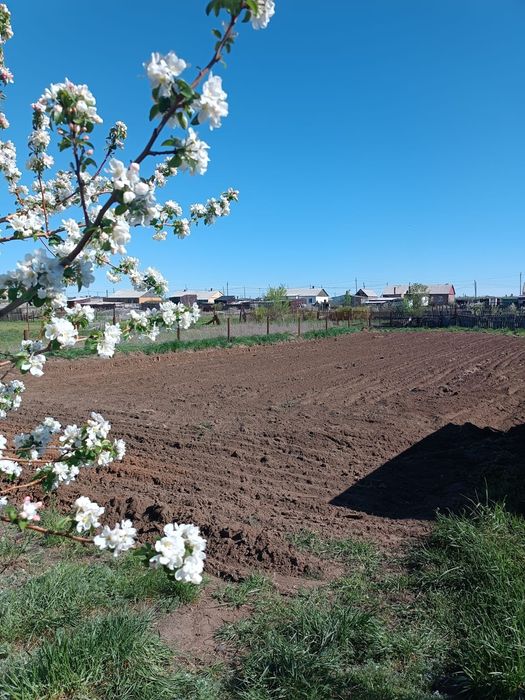 Продаю дом с участком ТОРГ