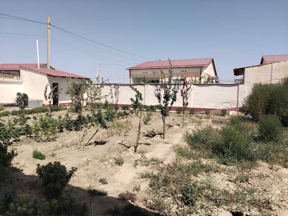 Namunali kottejd sotiladi