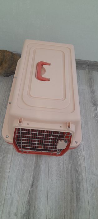 Продам переноску для кошек и мелких порой собак и других питомцев