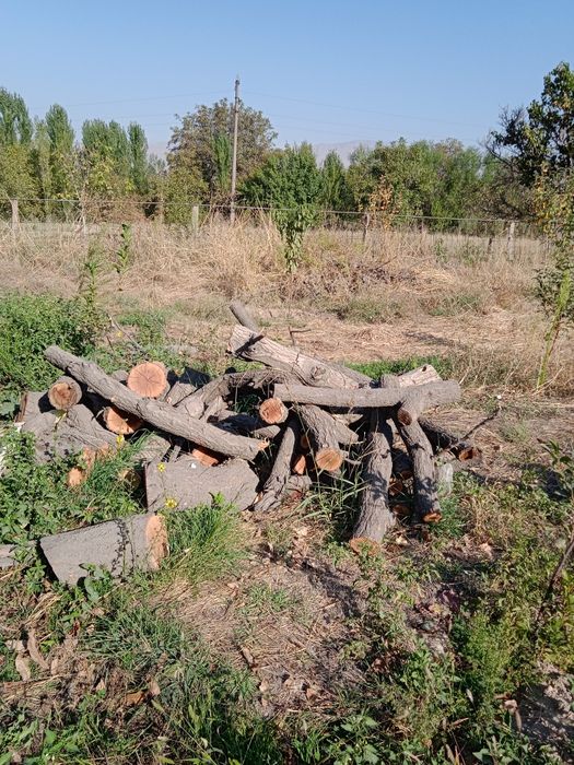 Утин бор сотилади