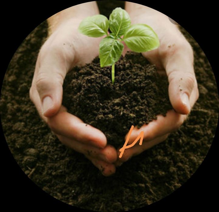 Чернозём плодородный горный