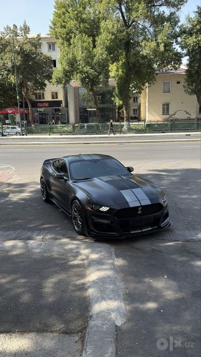 Ford Mustang (Shelby)