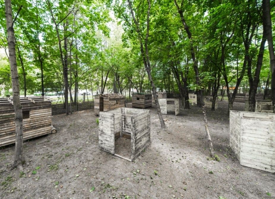 Пинбол на природе