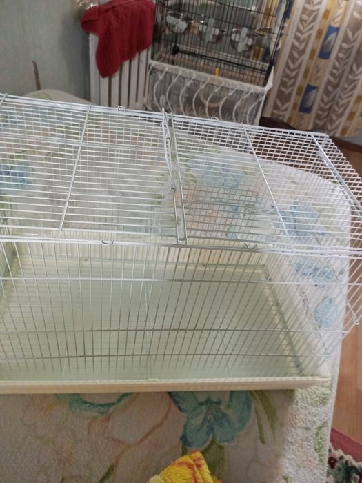 Продаеца клетка для попугаев