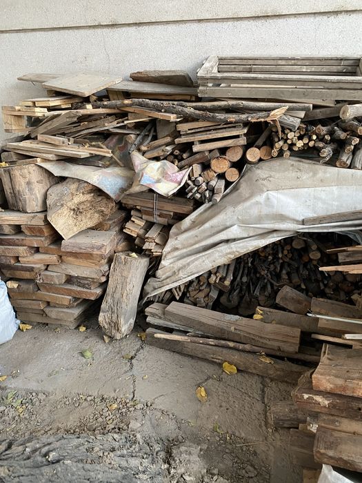 Otin sotiladi kelishamiz