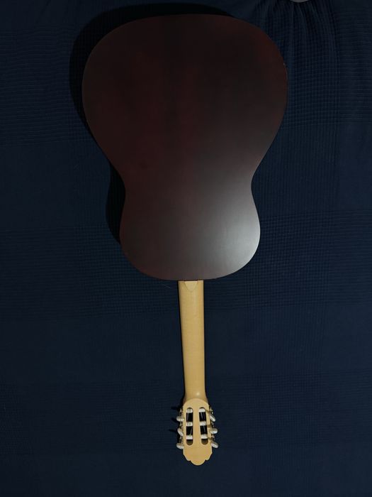 Chitara Hora reghin 4/4