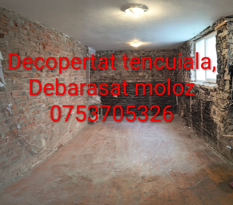 Servicii de curățenie apartamente eliberare orice tip de deșeu