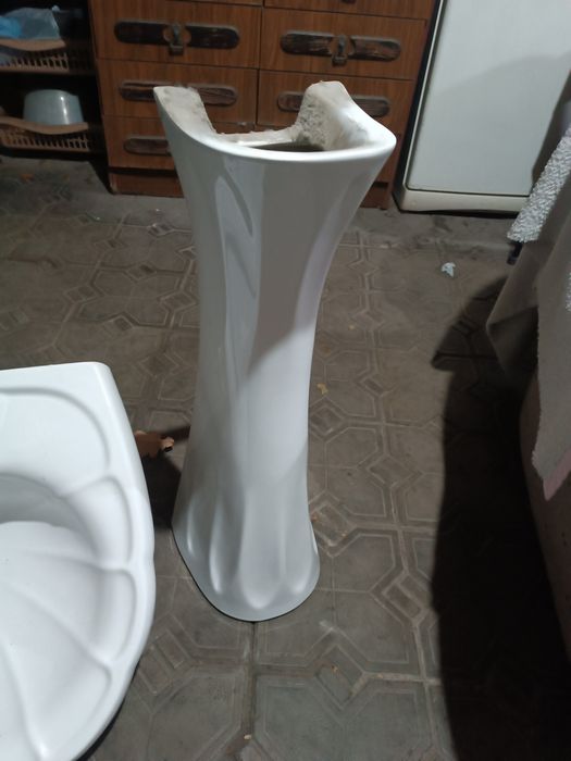 Раковина тюльпан