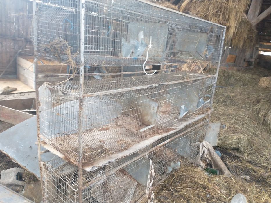 Cușcă iepuri 9 boxe