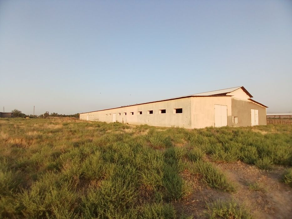 Здание и сооружение, Большая современная ферма