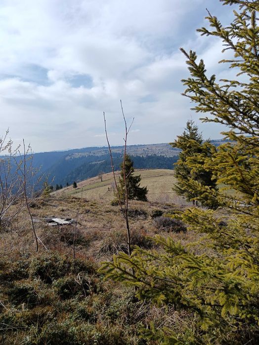 Vând teren superb în Măguri-Răcătău, situat într-o zonă de munte deosebită, perfectă pentru cabană, casă de vacanță sau investiție.