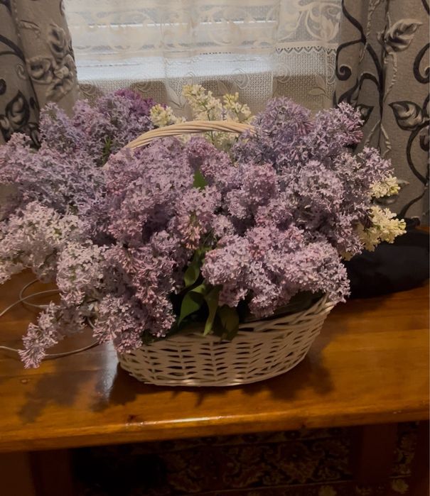Сирень букет красивый большой
