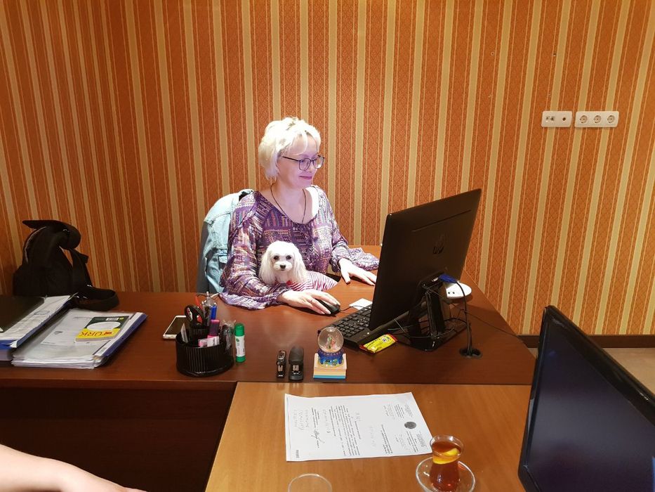 Предоставление юридических услуг