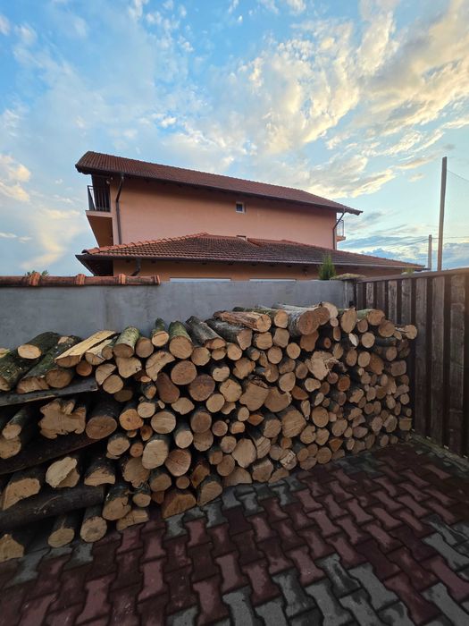 Lemne verzi 300 lei/m²