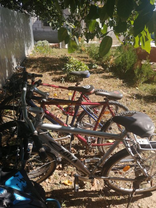 Biciclete de vanzare
